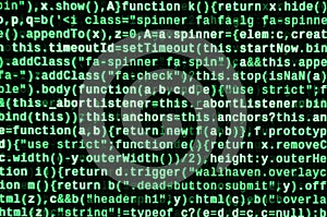 Computer program preview. Programming code typing. Information technology website coding standards for web design