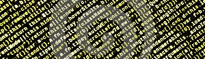 Computer program preview. Programming code typing. Information technology website coding standards for web design