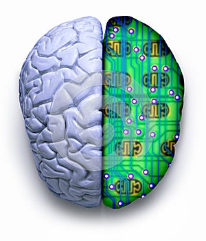 Computer Science Brain Technology