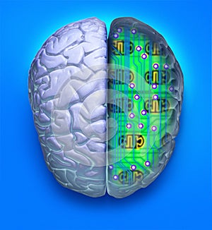 Computer Science Brain Technology