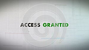 Computer Screen Access Granted - connection