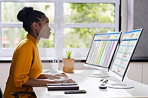 Computer Spreadsheet Data Analyst Woman
