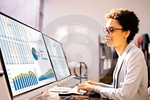 Computer Spreadsheet Data Analyst Woman