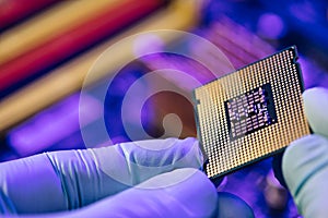 Computer support engineer installing processor. Microprocessor with clearly visible silicon core and cache chip