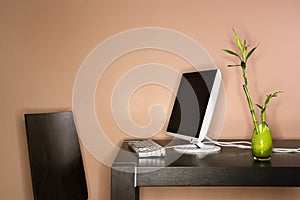 Computer on Table with Bamboo Plant