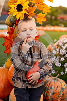 Conceived little boy with autumn decoration. Autumn portrait.