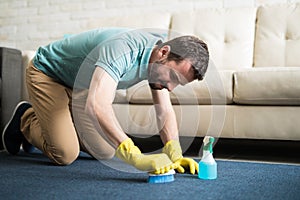 Concentrate cleaning the rug