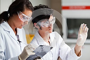 Concentrate science students looking at Petri dish