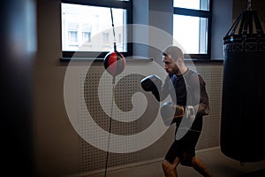 Concentrated boxer honing skills on double-end punching bag photo