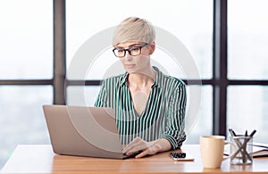 Concentrated Businesswoman Using Laptop Sitting At Workplace In Office