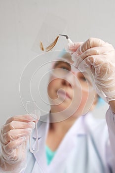 Concentrated female person raising hand while looking at hair sample, curls in a package for research by genetic research in the