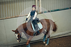 Concentrated little girl in inform and special clothes siting on horse, training horseback riding on special manege