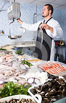 concentrated seller in black apron holding fish and looking at scales