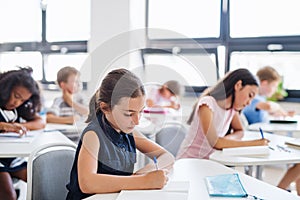 Concentrated small school children sitting at the desk in classroom, writing.