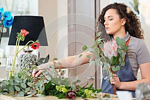 Concentrated woman florist making bouquet with fresh flowers in shop