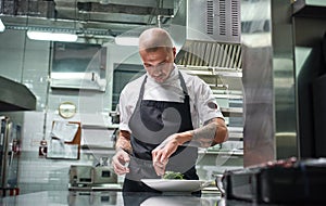 Concentrated at work. Portrait of handsome professional chef in black apron garnishing his dish on the plate while