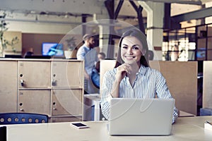 Concentrated young beautiful businesswoman working on laptop in bright modern office.