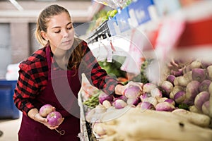 Concentrated young saleswoman lays rutabaga on a showcase