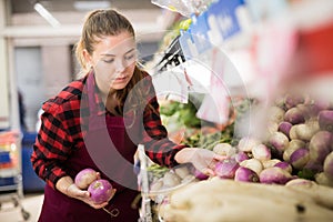 Concentrated young saleswoman lays rutabaga on a showcase
