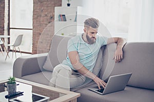 Concentrated young stylish red bearded freelancer sitting on sofa and working with computer at home, focused and virile