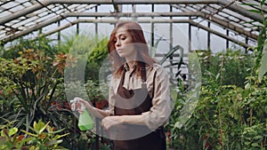 Concentrated young woman is spraying water on plants in greenhouse using spray bottle while her daughter is playing in