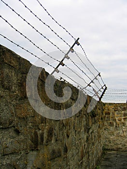 Concentration Camp - barbed wire