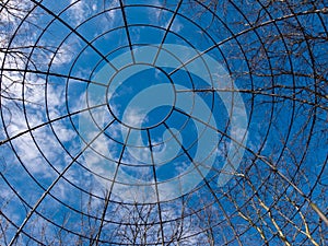 Concentric Circles