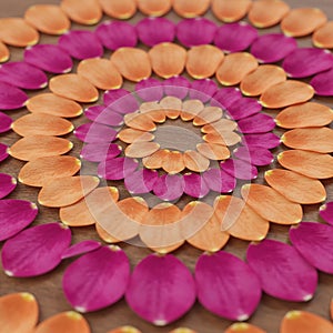 Concentric circles of flower petals arranged on a wooden surface create a visually