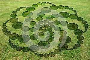 Concentric circles spirals encrypted symbols fake crop circle meadow