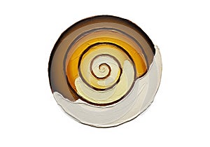 Concentric circular abstract design with a spiral pattern. The outer