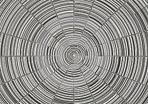Concentric circular pattern composed of black and white lines