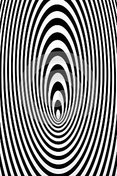 Concentric ovals photo