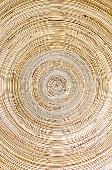 Concentric patterns of wood