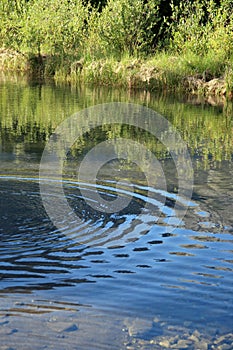 Concentric Ripples