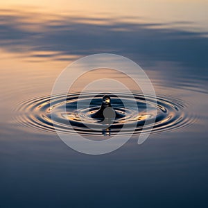 Concentric ripples spread across a calm