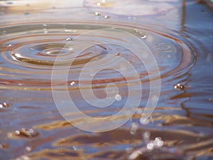 Concentric waves spread out creating multihued reflections after a drop collides with a still body of water
