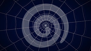 Concentric white web on a blue background