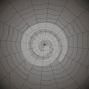 Concentric white web on a gray background