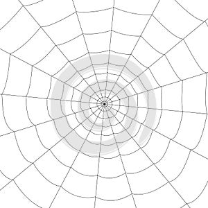 Concentric white web on a white background
