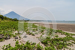 Concepcion volcano on Ometepe island, Nicarag