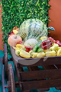 Concept abundance of vegetables and fruits. Natural food. Harvested in a garden wooden wheelbarrow, wooden cart with