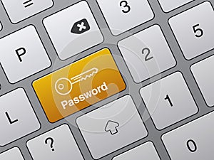 Concept of accessibility with password button