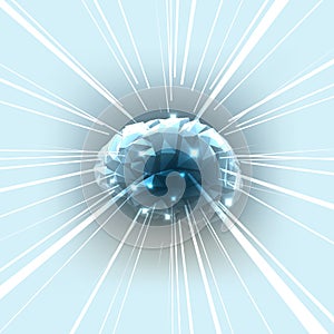 The Concept of Active Human Brain with Rays