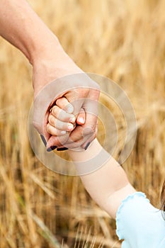 Concept of adoptive child, human hand holding arm of baby against yellow wheat background