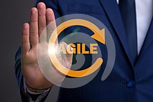 The concept of agile software development