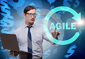 Concept of agile software development