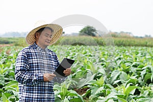 Concept, agriculture inspection, study survey and research to develop crops.