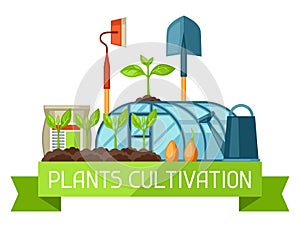 Concept with agriculture objects. Instruments for cultivation, plants seedling process, stage plant growth, fertilizers