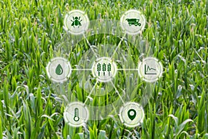 Agritech concept graphic display on field of crops background photo