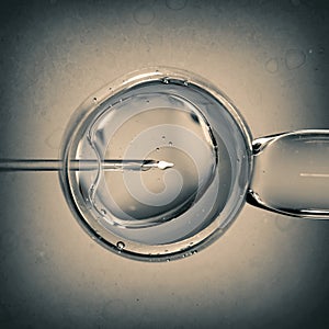 Concept of artificial insemination or fertility treatment. Image